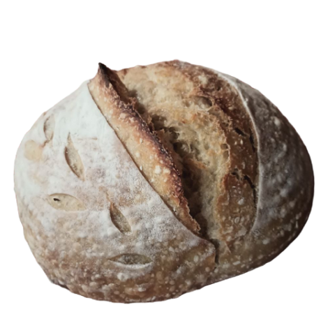 Sourdough Bread - Plain